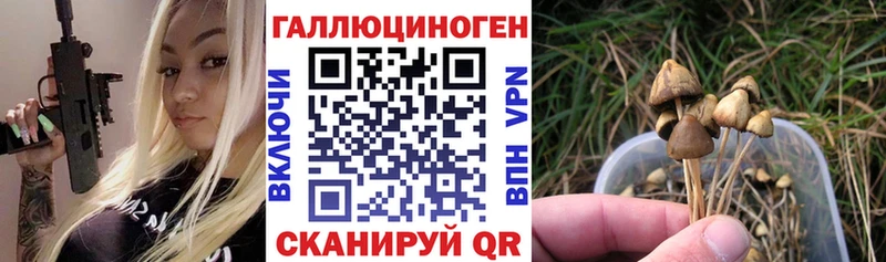 ОМГ ОМГ сайт  Смоленск  Галлюциногенные грибы Magic Shrooms 