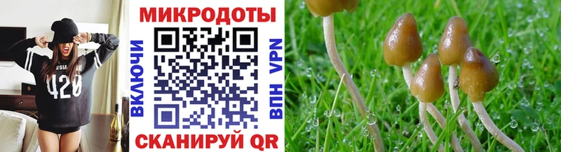 Галлюциногенные грибы прущие грибы Смоленск